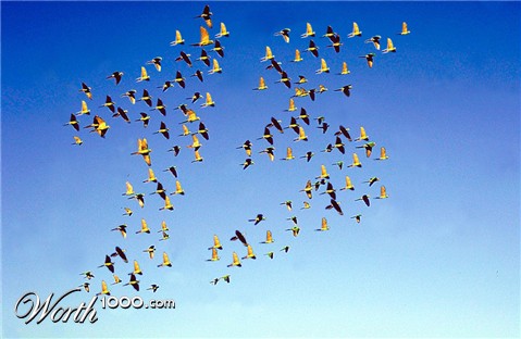 Photoshop Design by bosss1