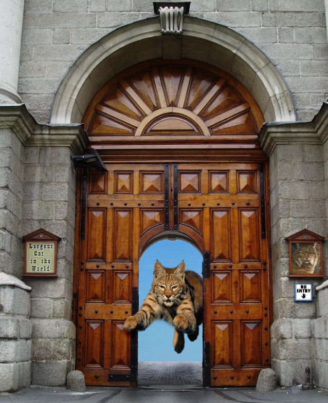 Photoshop-Design von Hobbit90 für DesignCrowd (Community Contests) | Design #9011119