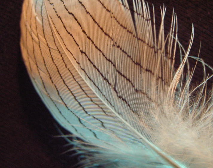 Photographie par cliknsnap pour DesignCrowd (Community Contests) | Design #9019139