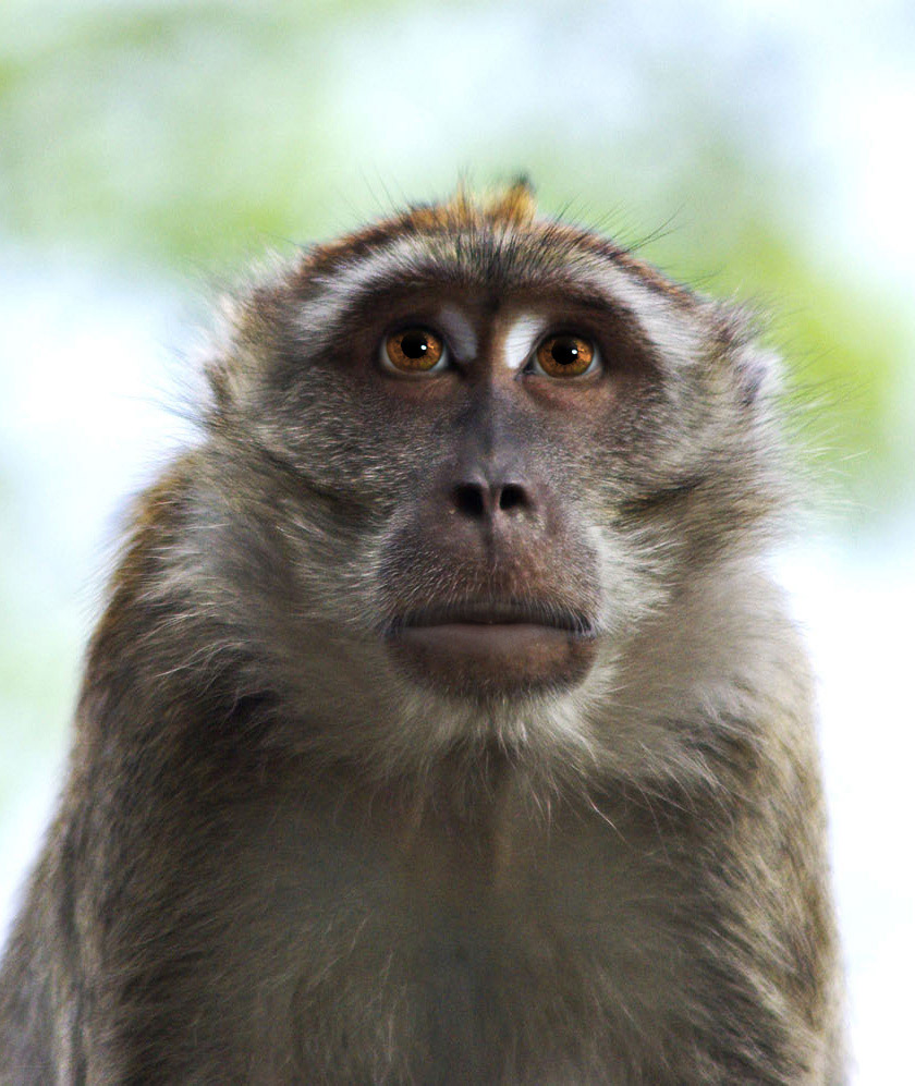 Photoshop Design by mattbyng for DesignCrowd (Community Contests) | Design #9012649