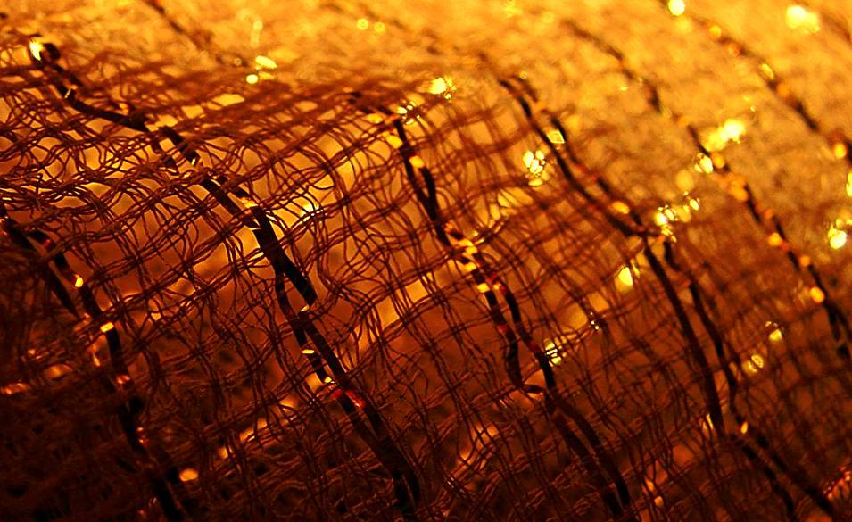 Photographie par Berilu pour DesignCrowd (Community Contests) | Design #9014415