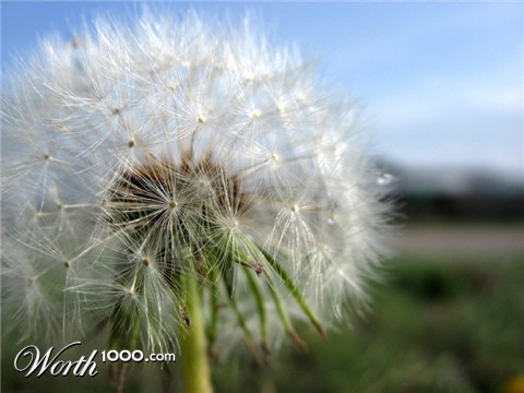 Photography by gzusfrk