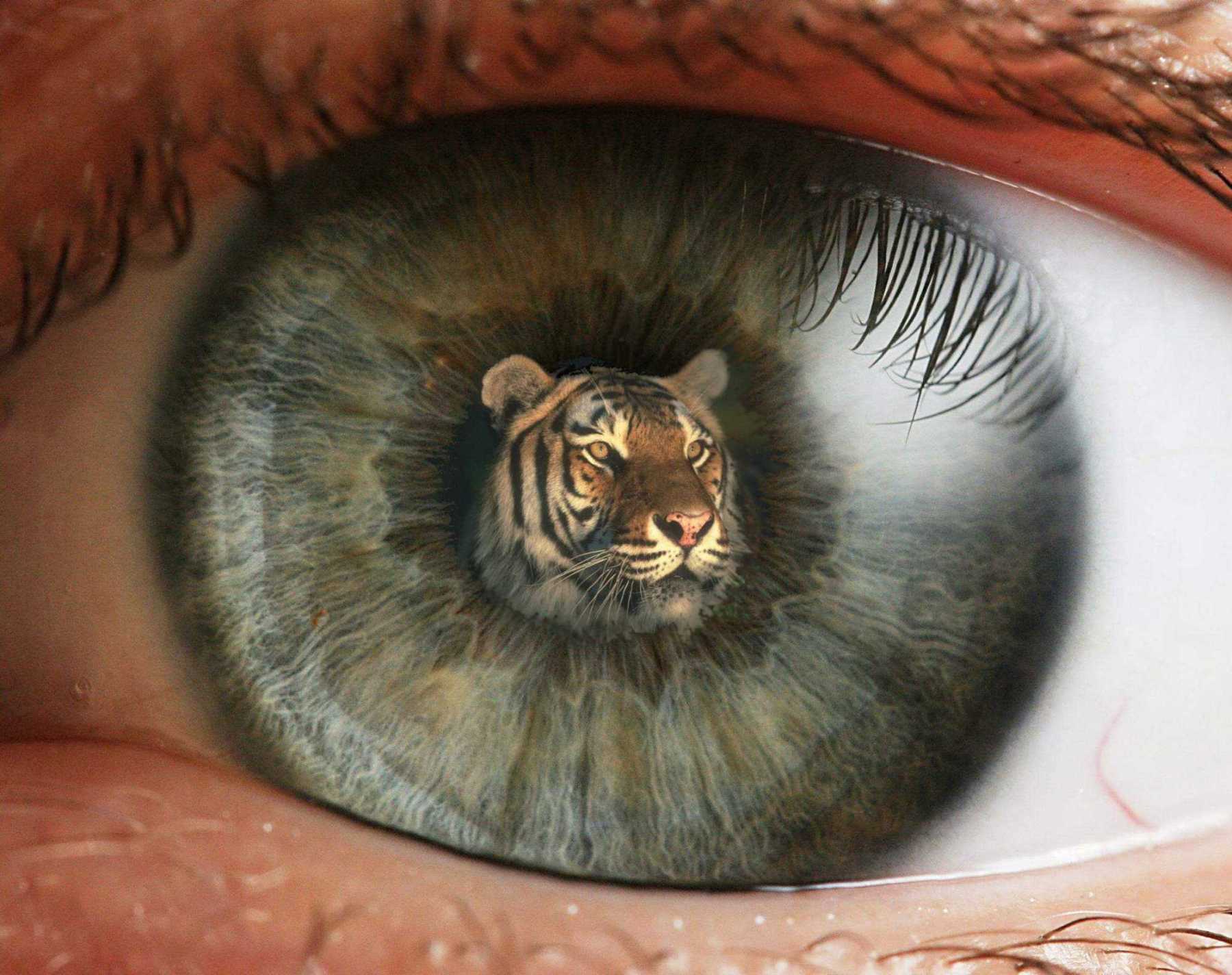 Diseño de Photoshop por JAM para DesignCrowd (Community Contests) | Diseño #9012685