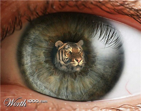 Photoshop Design by JAM