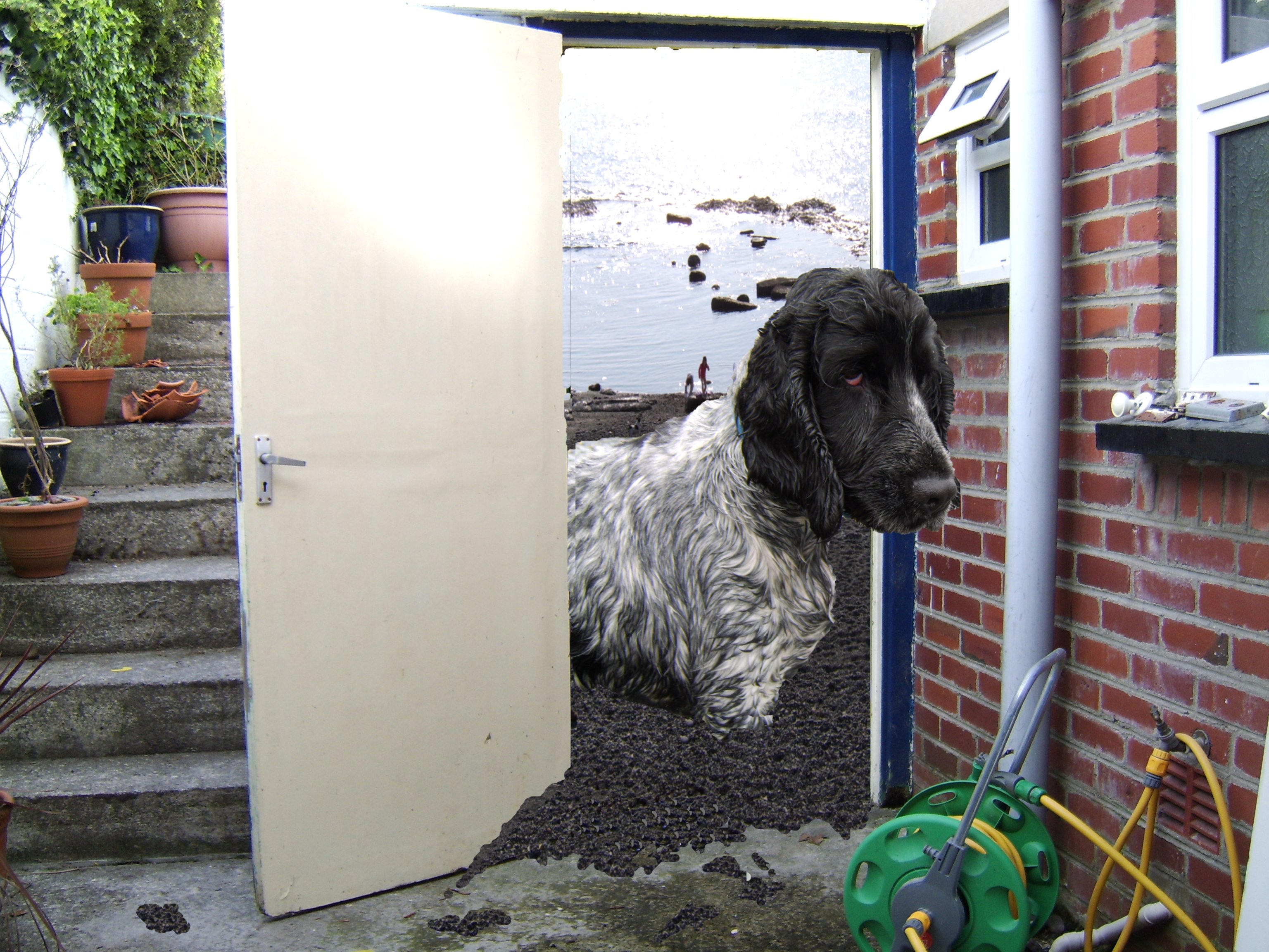 Photoshop-Design von OzeFroze für DesignCrowd (Community Contests) | Design #9011319