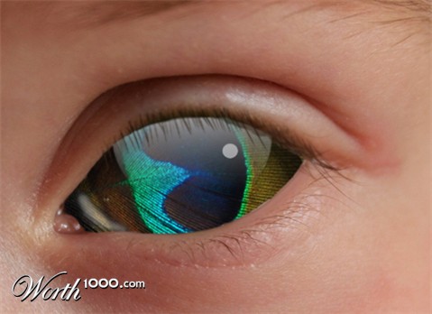 Photoshop Design by sockmonster