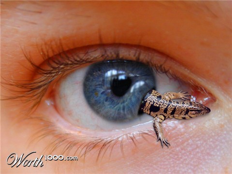 Photoshop Design by Rotator