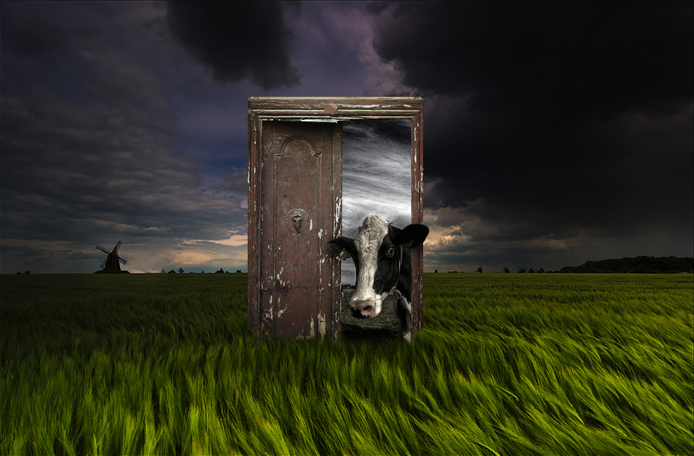 Photoshop Design by echoburst for DesignCrowd (Community Contests) | Design #9011211