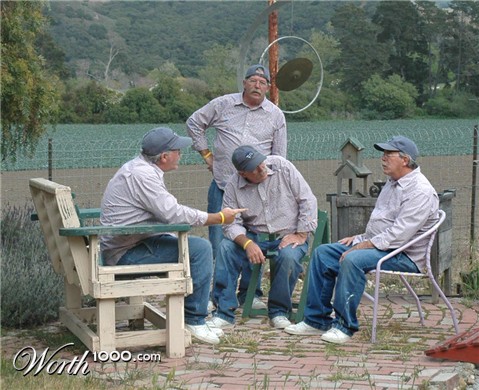 Photography by Larvice