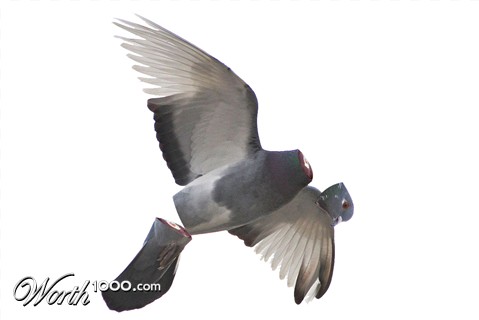 Photoshop Design by mattbyng