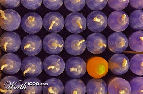 Photography by bvanderhofstede