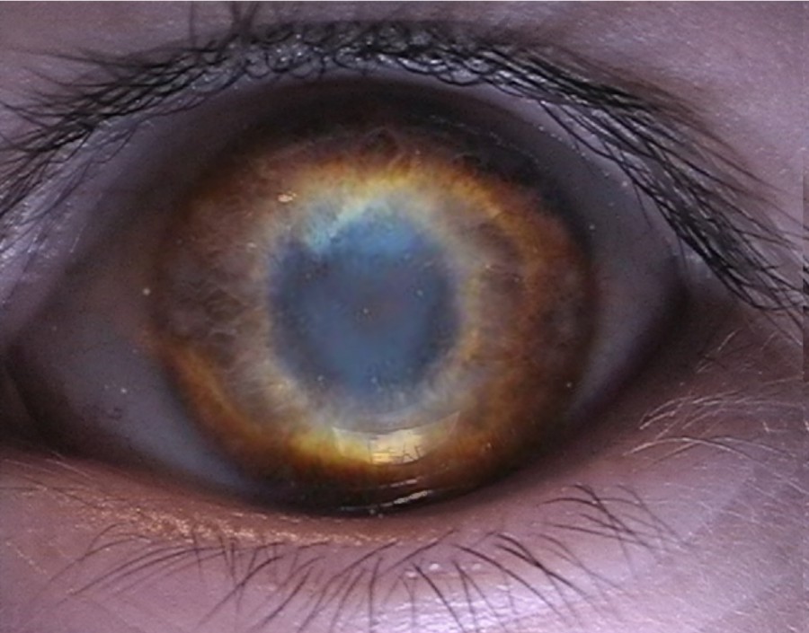 Diseño de Photoshop por Fishwife para DesignCrowd (Community Contests) | Diseño #9012808