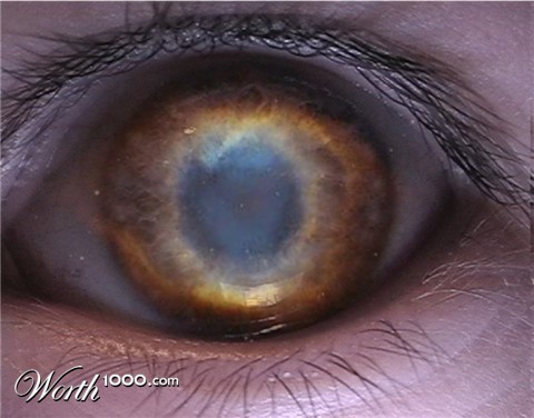 Photoshop Design by Fishwife