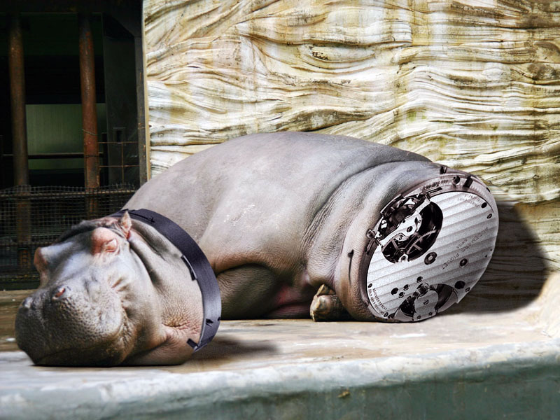 Diseño de Photoshop por Alloni para DesignCrowd (Community Contests) | Diseño #9016333