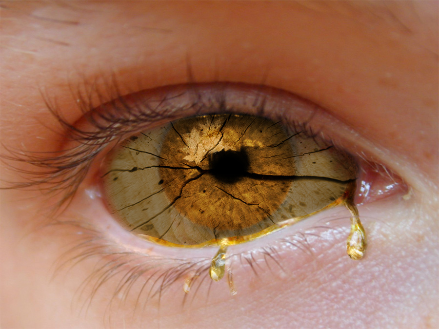 Photoshop Design by PixelDustMT for DesignCrowd (Community Contests) | Design #9012847