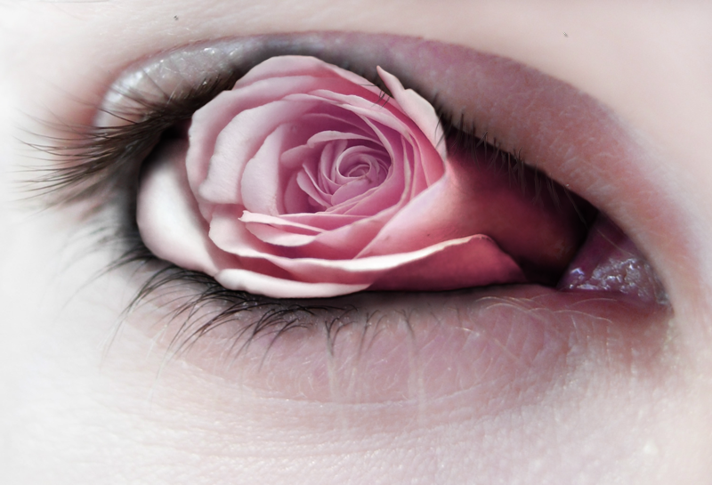 Design Photoshop par jesuisfaer pour DesignCrowd (Community Contests) | Design #9013151