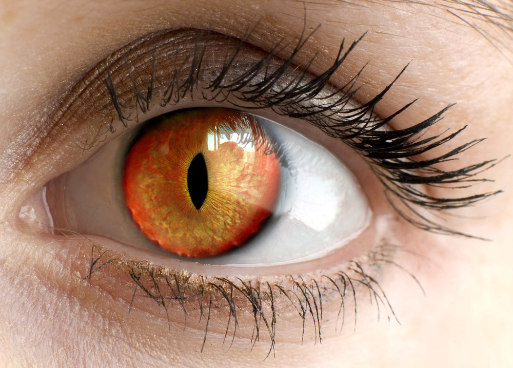 Photoshop Design by davidberettaowens for DesignCrowd (Community Contests) | Design #9013022