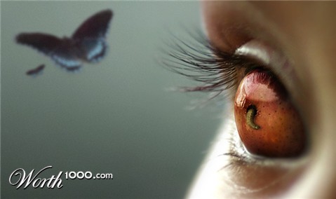 Photoshop Design by ctranter