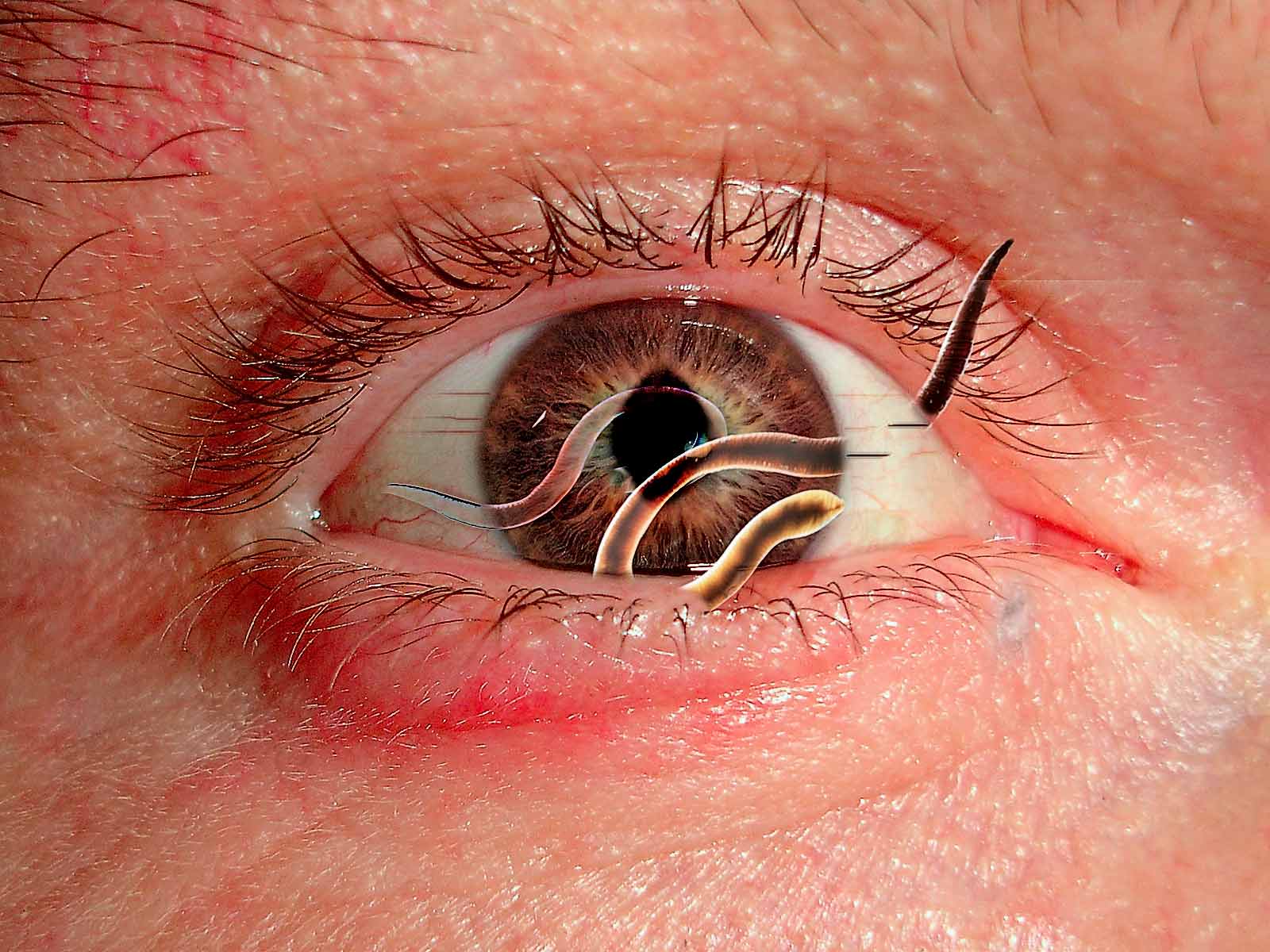 Photoshop-Design von grmy01 für DesignCrowd (Community Contests) | Design #9013004