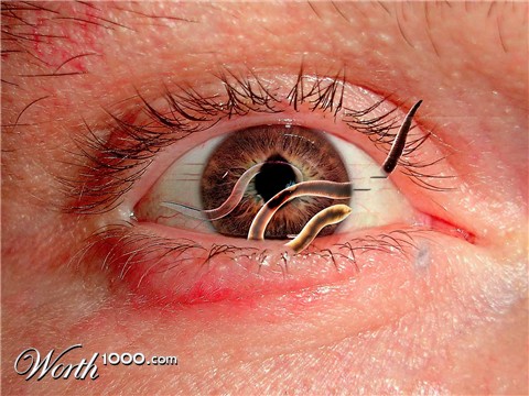 Photoshop Design by grmy01