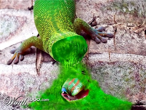 Photoshop Design by HopePhoto