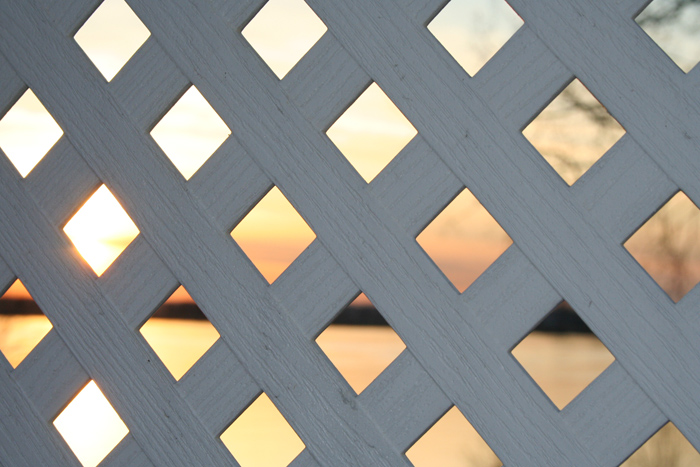 Photography by nazka2002 for DesignCrowd (Community Contests) | Design #9014464