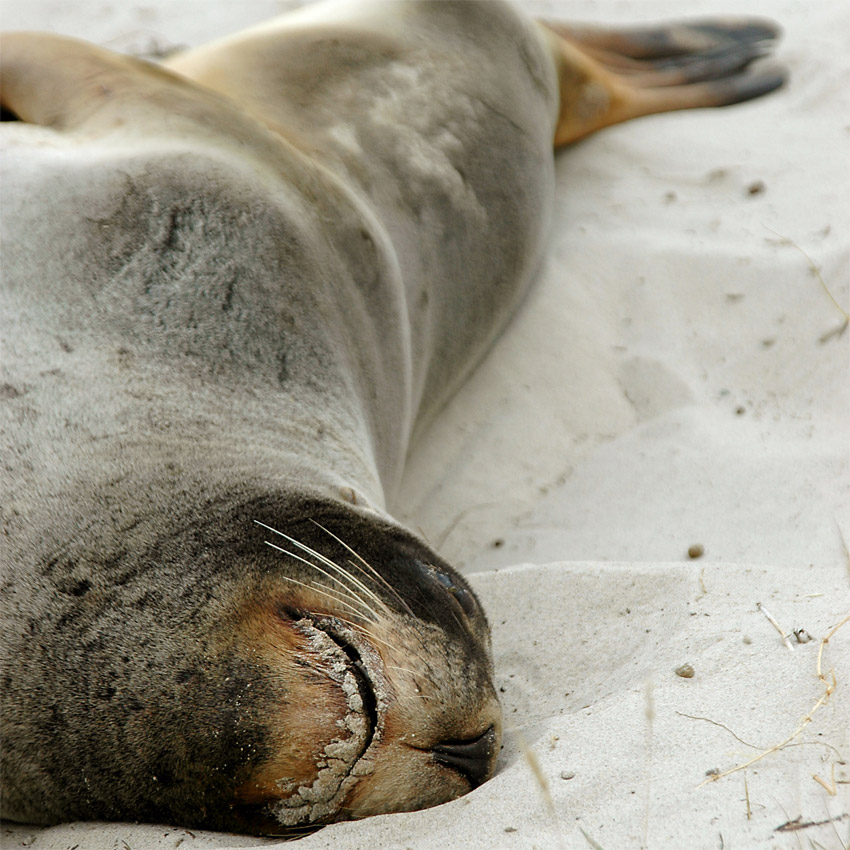 Photography by shazamataz for DesignCrowd (Community Contests) | Design #9011882