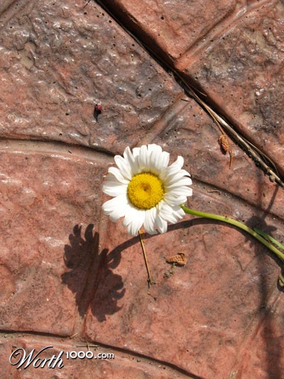 Photography by popsinger