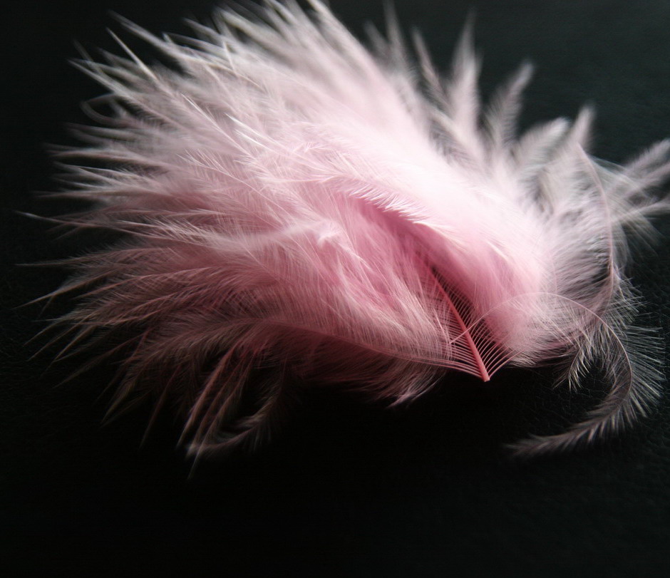 Photography by JillianRed for DesignCrowd (Community Contests) | Design #9019222