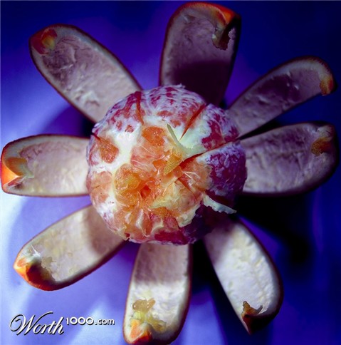 Photography by Reconban