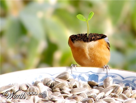 Photoshop Design by GraafVanFoto