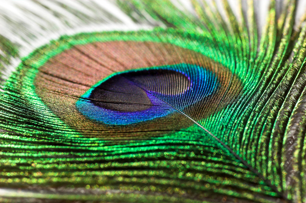 Photography by unit25 for DesignCrowd (Community Contests) | Design #9019195