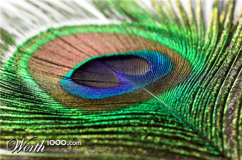 Photography by unit25