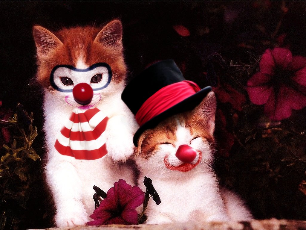 Diseño de Photoshop por akatatsu para DesignCrowd (Community Contests) | Diseño #9018078