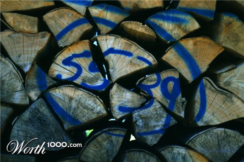 Photography by Bastet