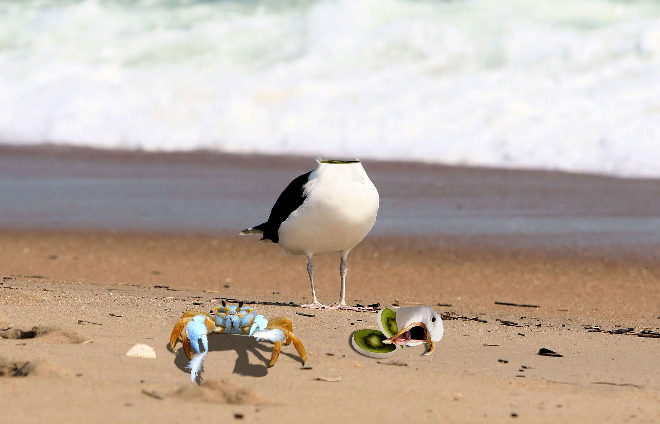 Photoshop Design by Inspirator for DesignCrowd (Community Contests) | Design #9016392