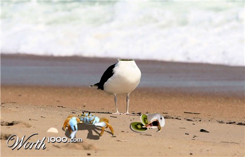 Photoshop Design by Inspirator