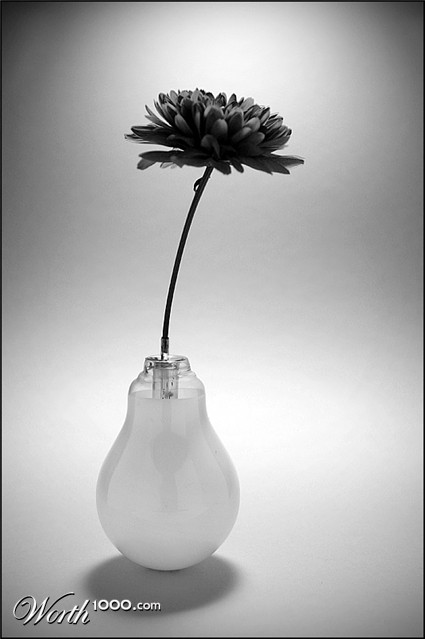 Photography by SigloV