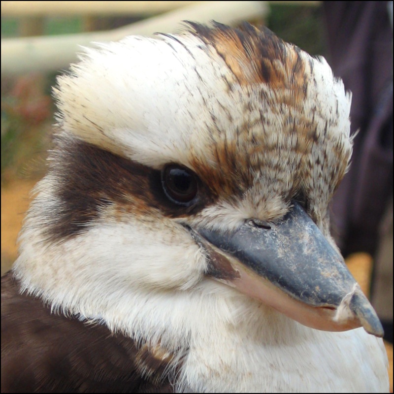 Fotografie von allboutme für DesignCrowd (Community Contests) | Design #9011902