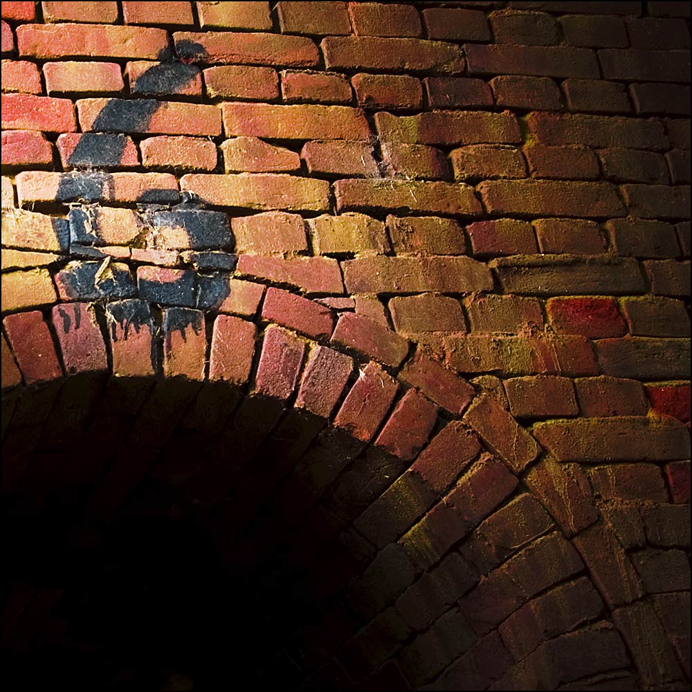 Fotografie von egonlinden für DesignCrowd (Community Contests) | Design #9015514