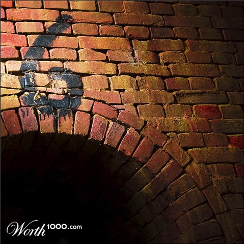 Photography by egonlinden