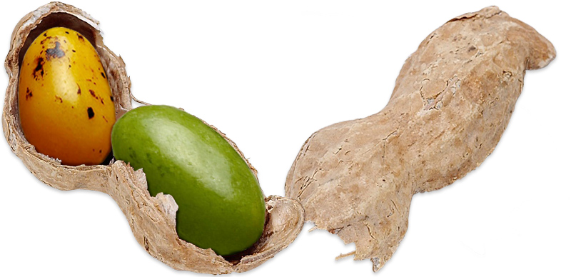 Photoshop Design by mastermindesigns for DesignCrowd (Community Contests) | Design #9016423