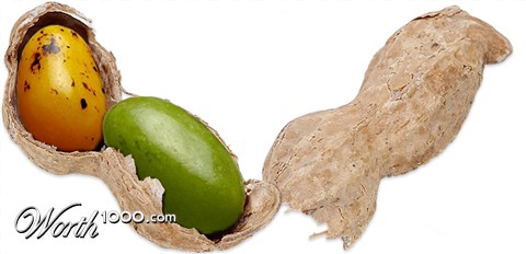 Photoshop Design by mastermindesigns