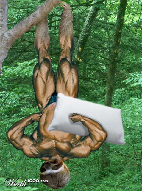 Photoshop Design by sockmonster