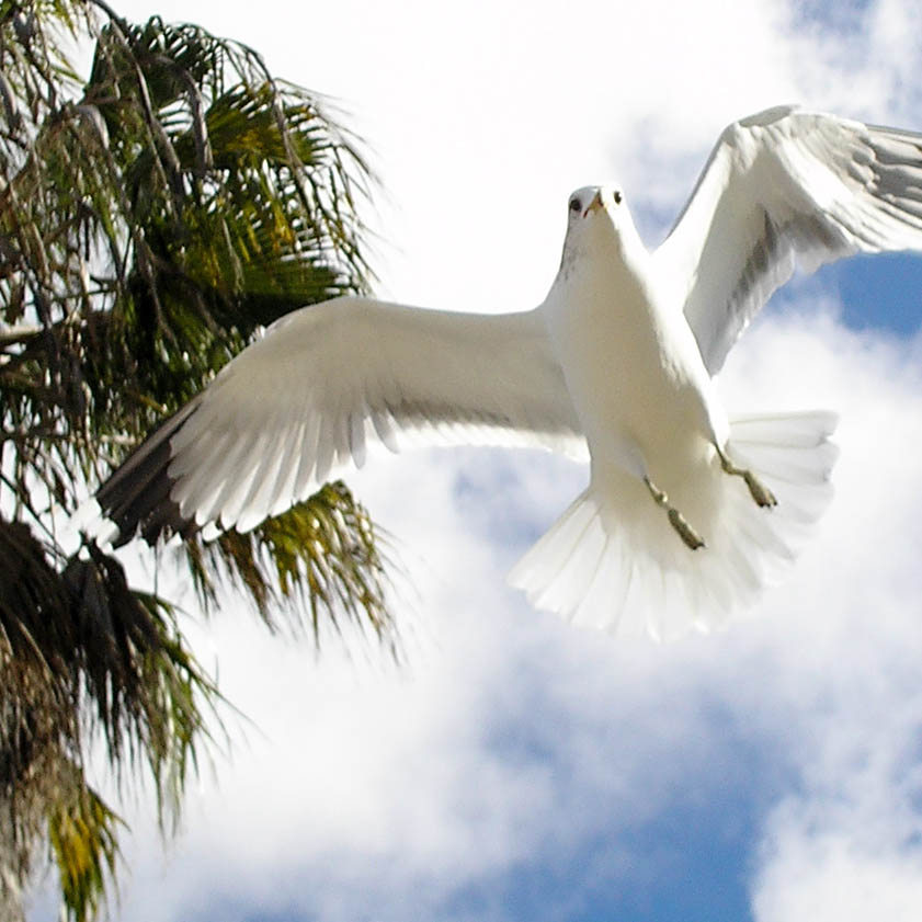Fotografía por Rayphlex para DesignCrowd (Community Contests) | Diseño #9011966