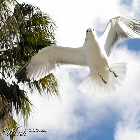 Photography by Rayphlex