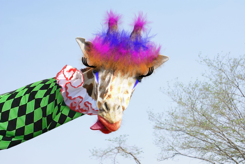 Photoshop-Design von katmgck für DesignCrowd (Community Contests) | Design #9018108