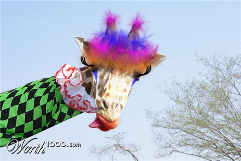 Photoshop Design by katmgck