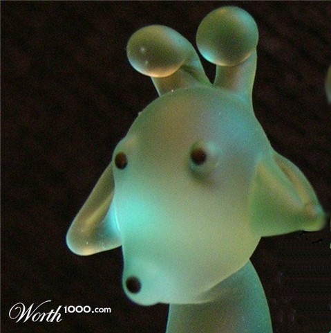 Photography by cliknsnap