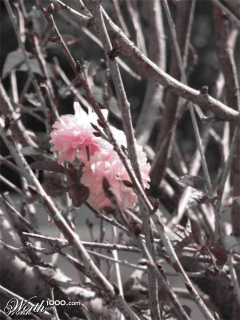 Photography by Avigayil